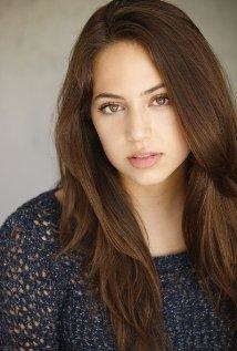 Taylor Stammen