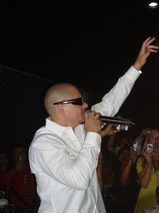 Pitbull