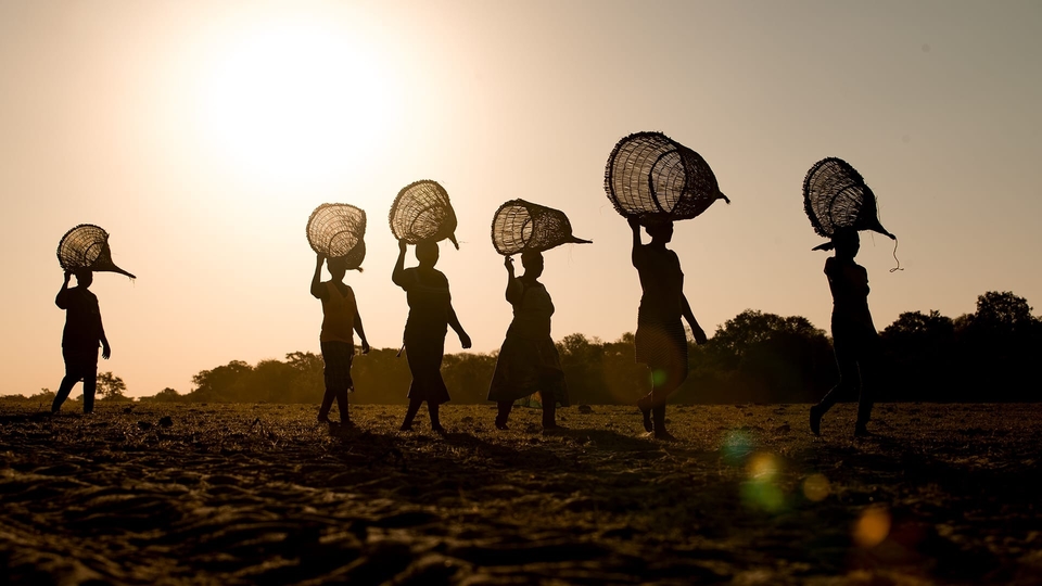 Документ L'Okavango, source de vie