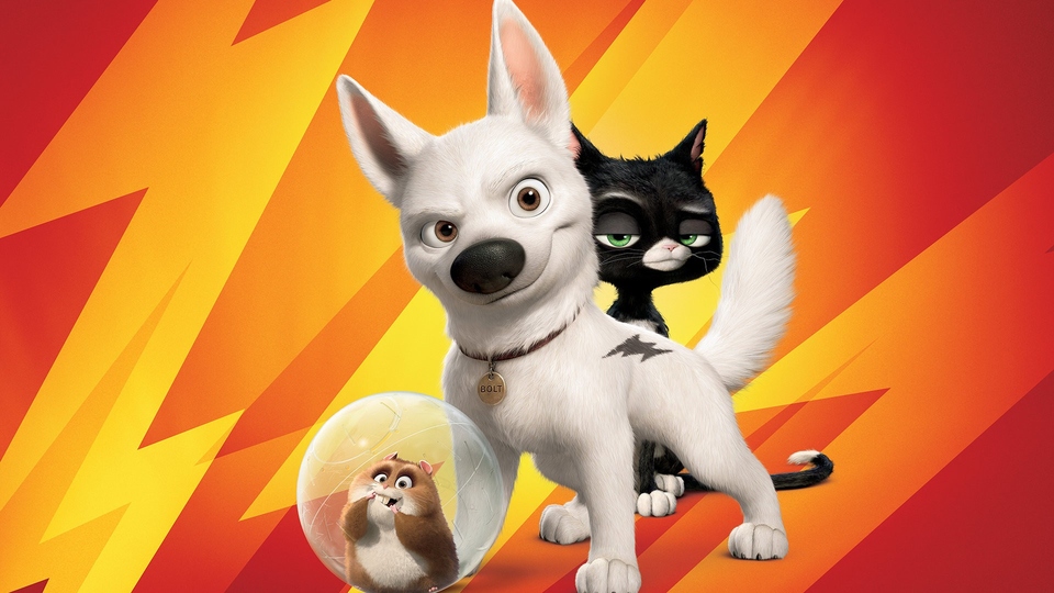 Film Bolt