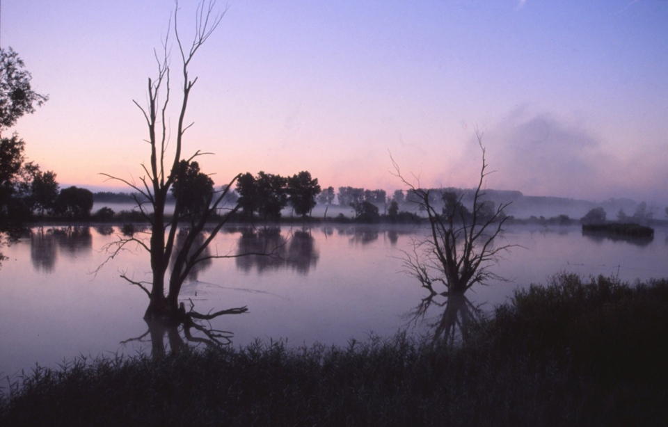 Dokument Píseň Dunaje
