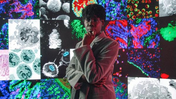 Cała prawda o układzie odpornościowym