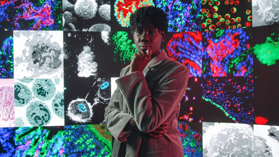 The best european civilisation from year 2021 online