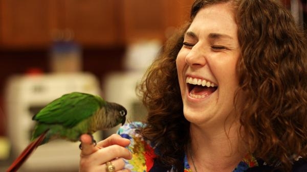 Zvířecí pohotovost