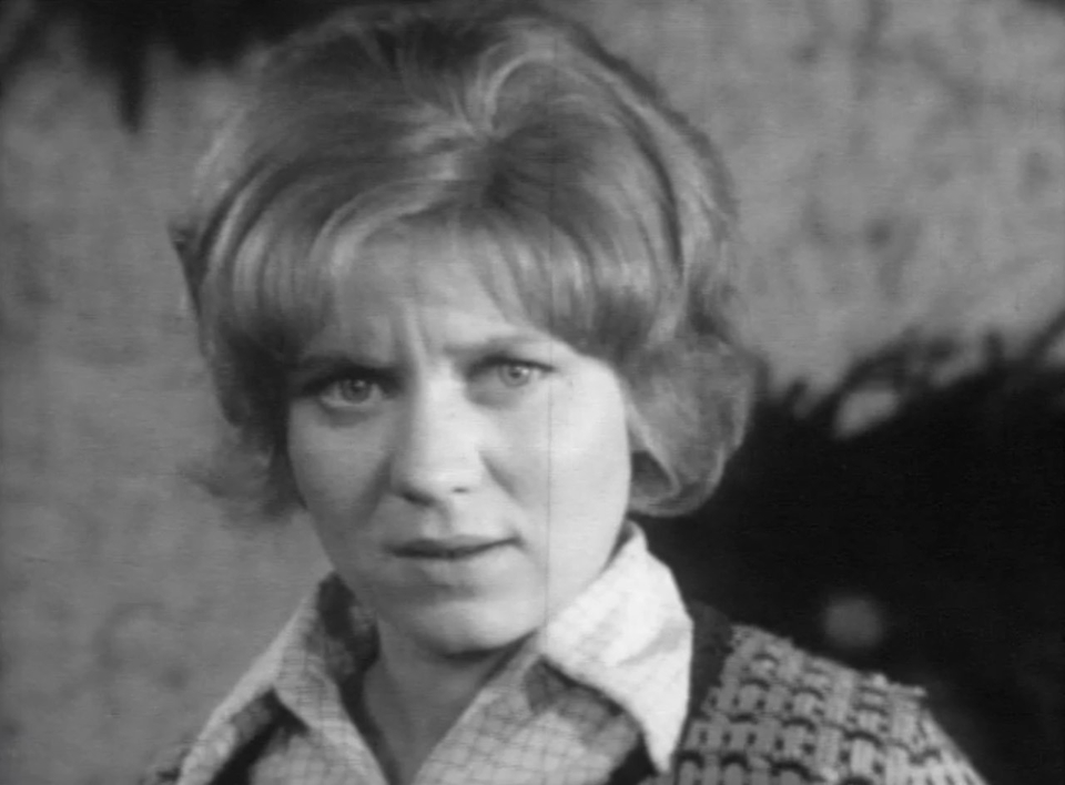 Film Hrachová polívka