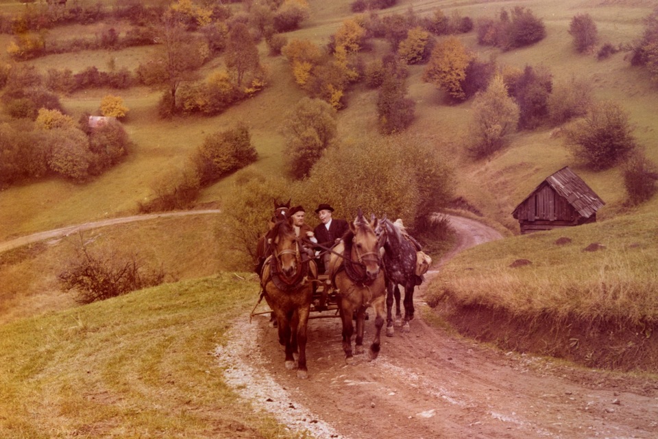 Film Slnko vychádza nad Prašivou
