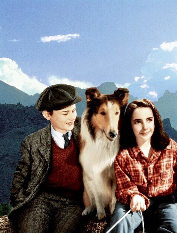 Film Lassie se vraća kući
