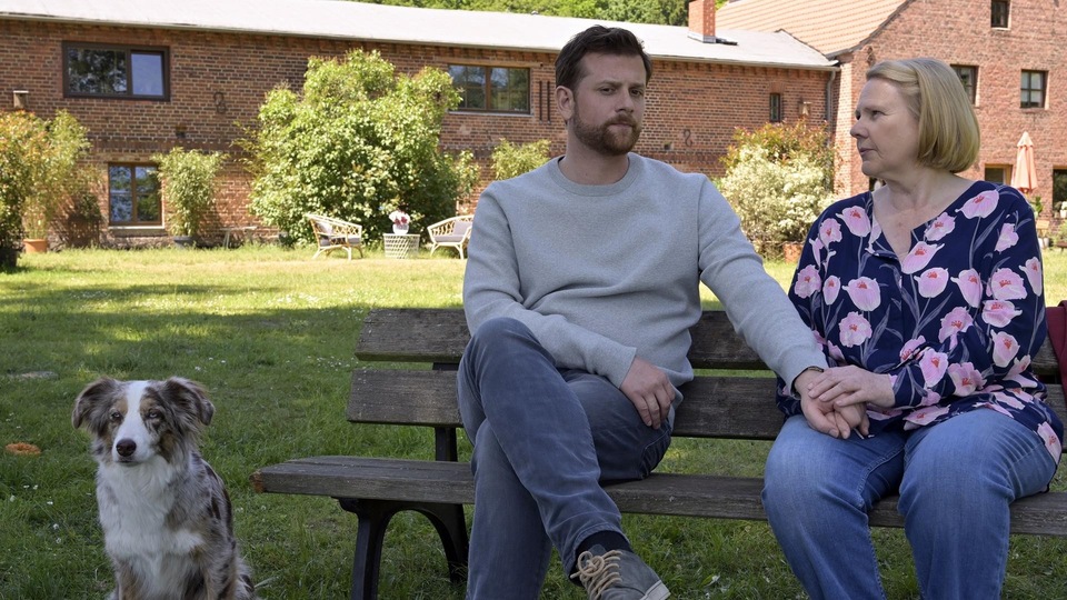 31 іноземних драматичних з року 2022 онлайн