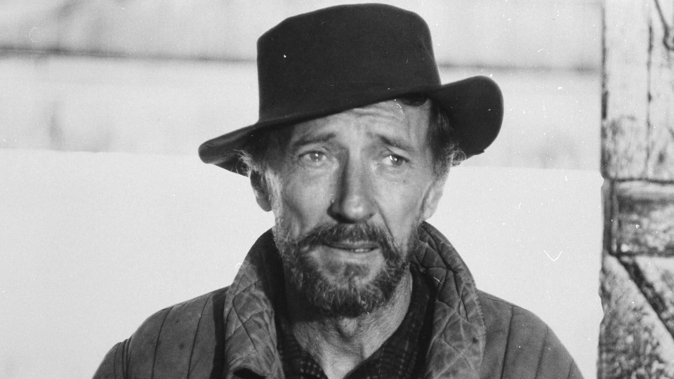Найкращі польські комедія з року 1982 онлайн