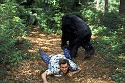 Film Ace Ventura 2: Volání divočiny