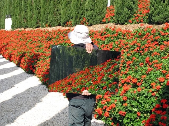 Mohsen Makhmalbaf - The Gardener