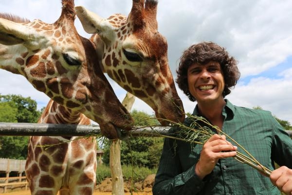 Andy's Baby Animals