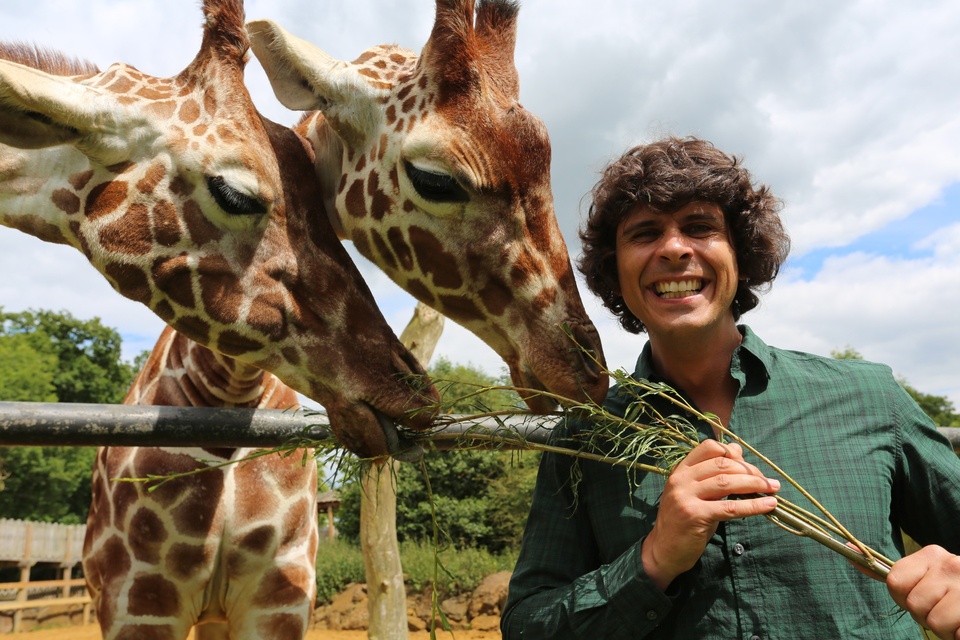 Andy's Baby Animals