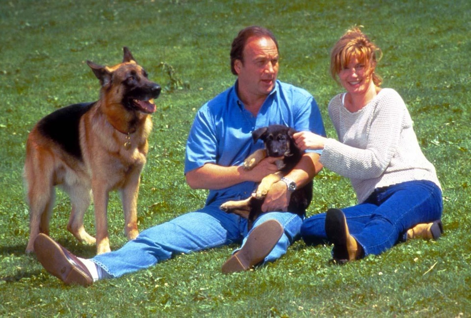 Film K-9: Soukromý detektiv
