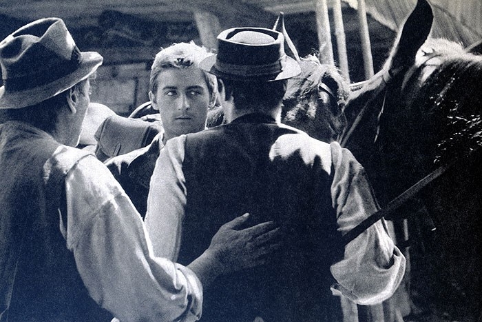 Film Tri gaštanové kone