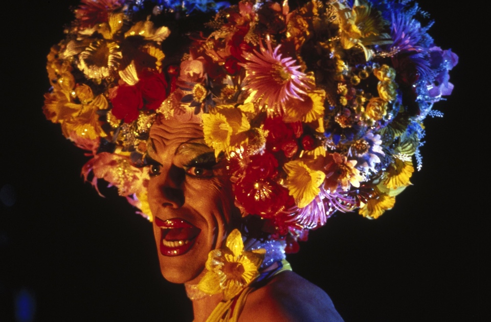 Film Dobrodružství Priscilly, královny pouště