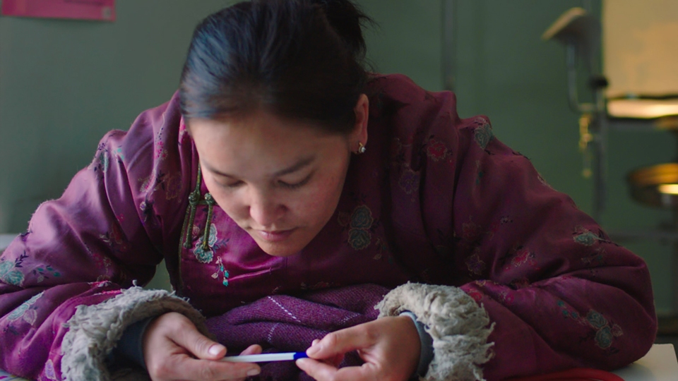 Najbolji mongolski filmovi online