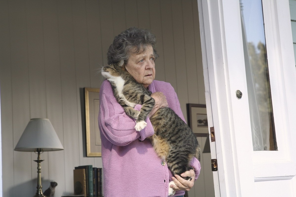 Pat Crawford Brown - Umění výchovy