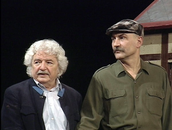 Film Švestka
