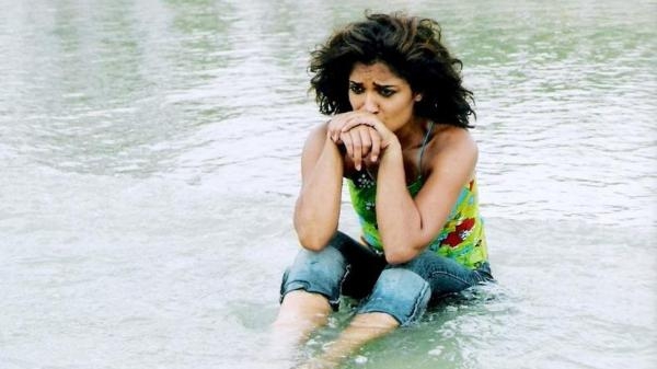 Wspaniały indyjski motyl