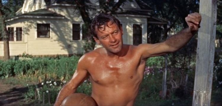 William Holden - Piknik