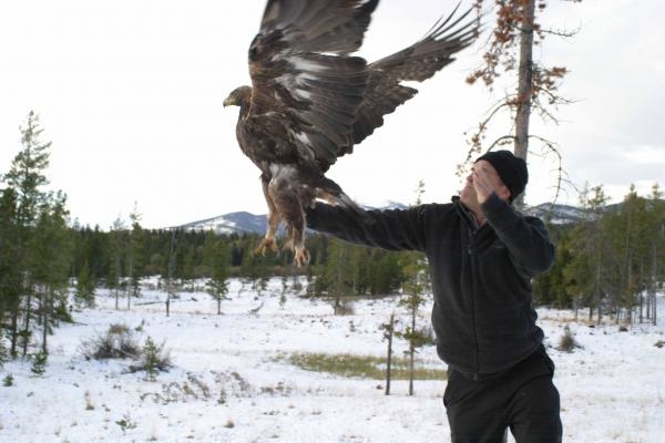 Američki zapad