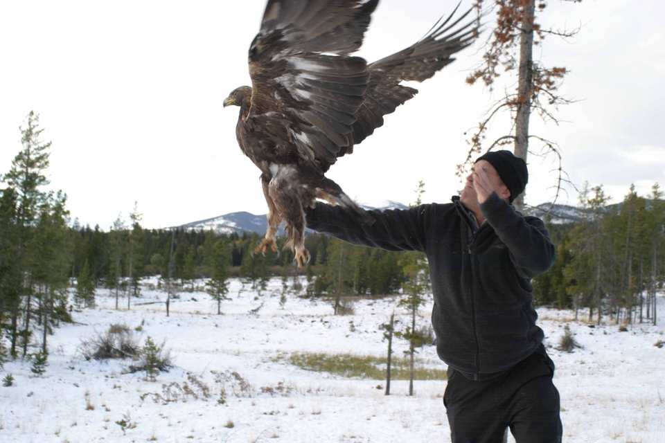 Найкращі американські документальні фільми з року 2013 онлайн