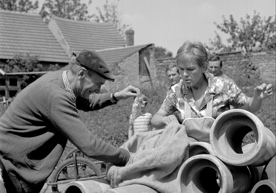 Найкращі словацькі комедія з року 1974 онлайн