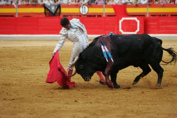 Matador