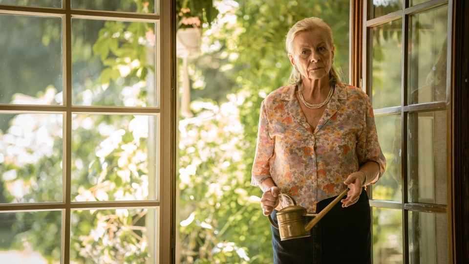 The best polish new comedies from year 2023 online