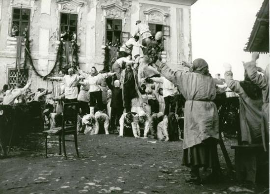 Archa bláznů aneb Vyprávění z konce života