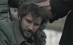 Film Hajka