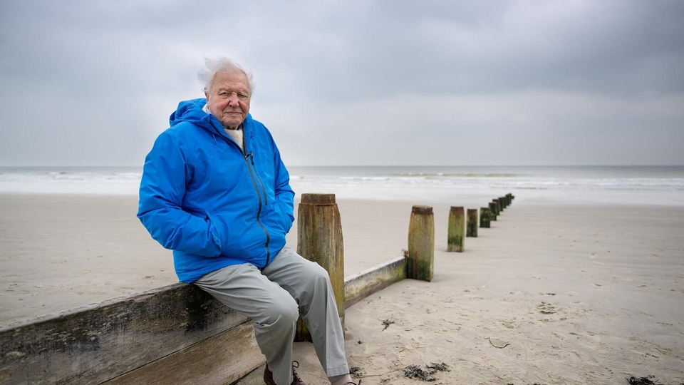 David Attenborough - Ocean with David Attenborough
