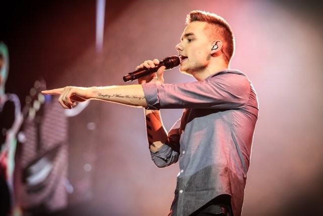 Liam Payne - One Direction 3D: This Is Us