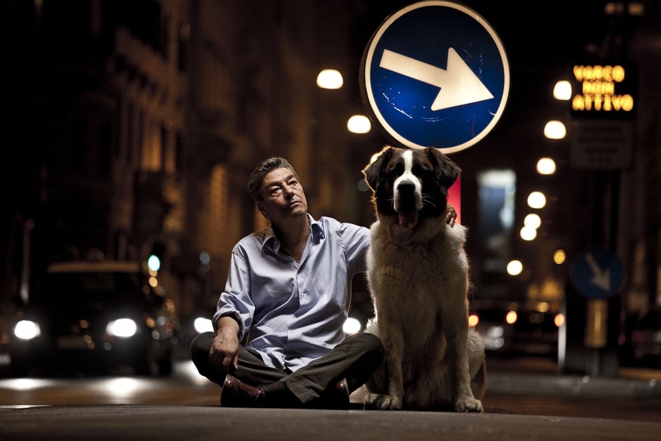 The best italian art movies from year 2011 online