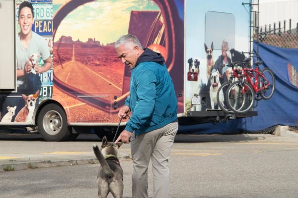 Cesar Millan's Dog Nation