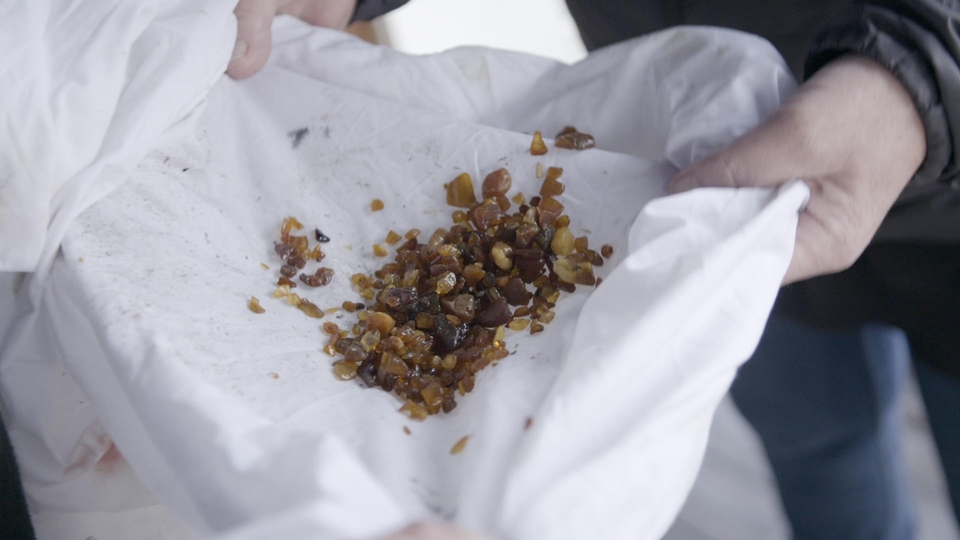 Найкращі польські документальні фільми з року 2020 онлайн