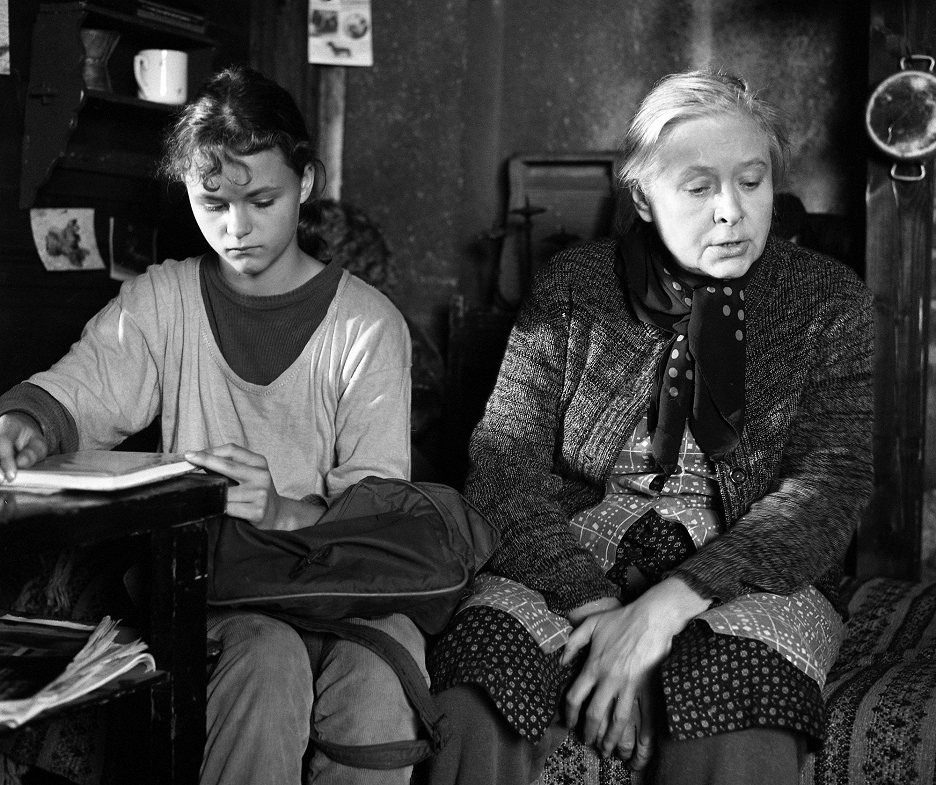 Film Párátko