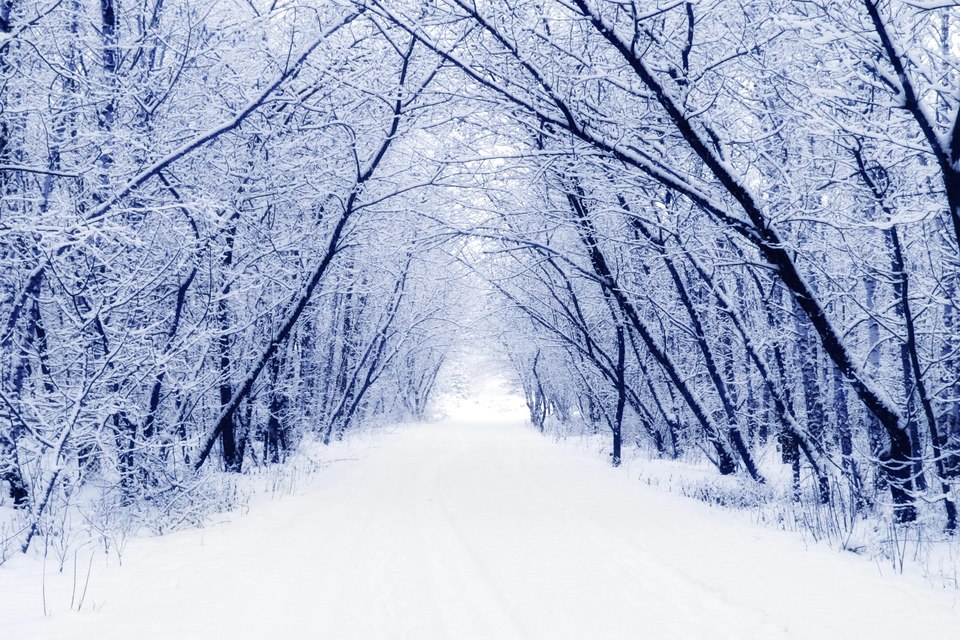 Film Hiver