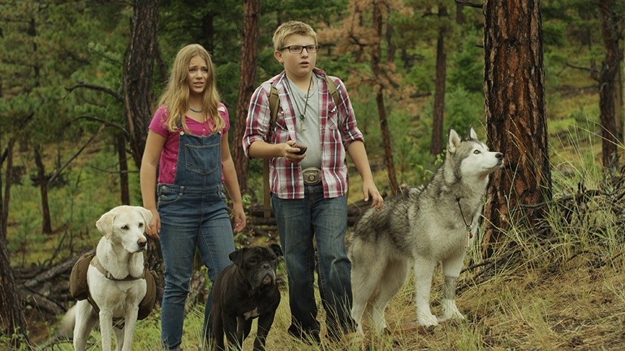 Film Timber