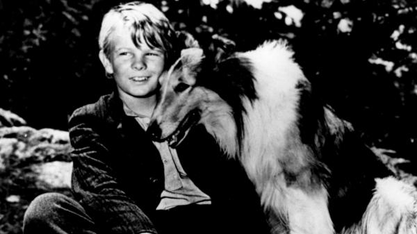 Lassie - Malované kopce