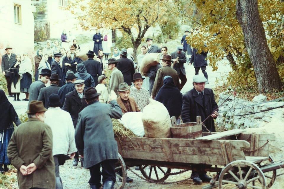 Film Tvár v&nbsp;rose