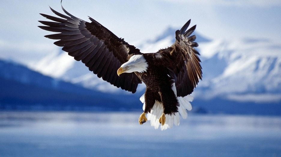Česká republika: the best natural world from year 2013 online