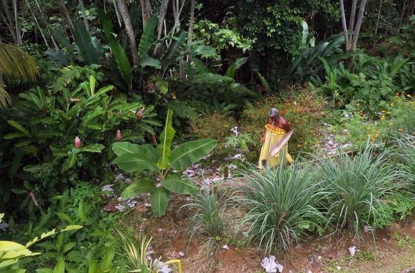 Příběh šesti světadílů