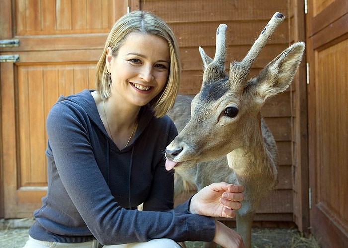 Документ Wild Animal ER