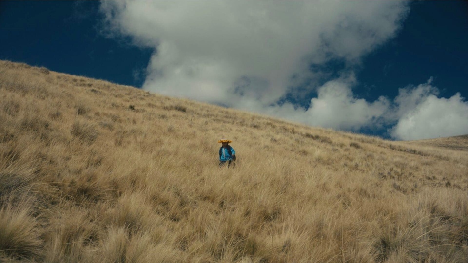 Peru: najbolji novi filmovi iz godine 2025 online