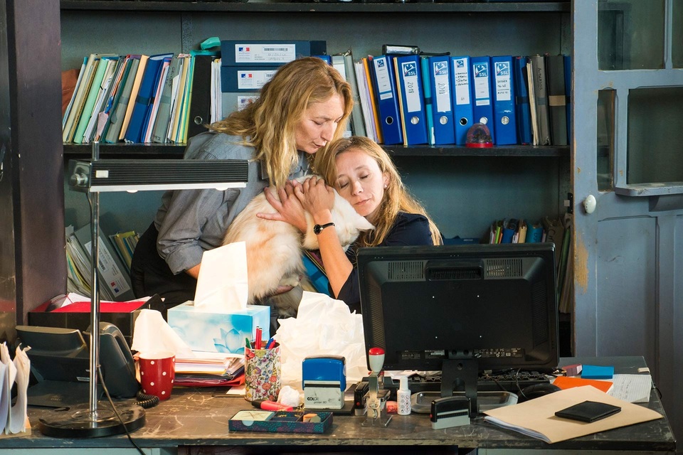The best crime and detective films from year 2019 online