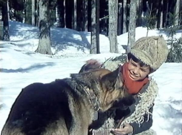 Vuk samotnjak