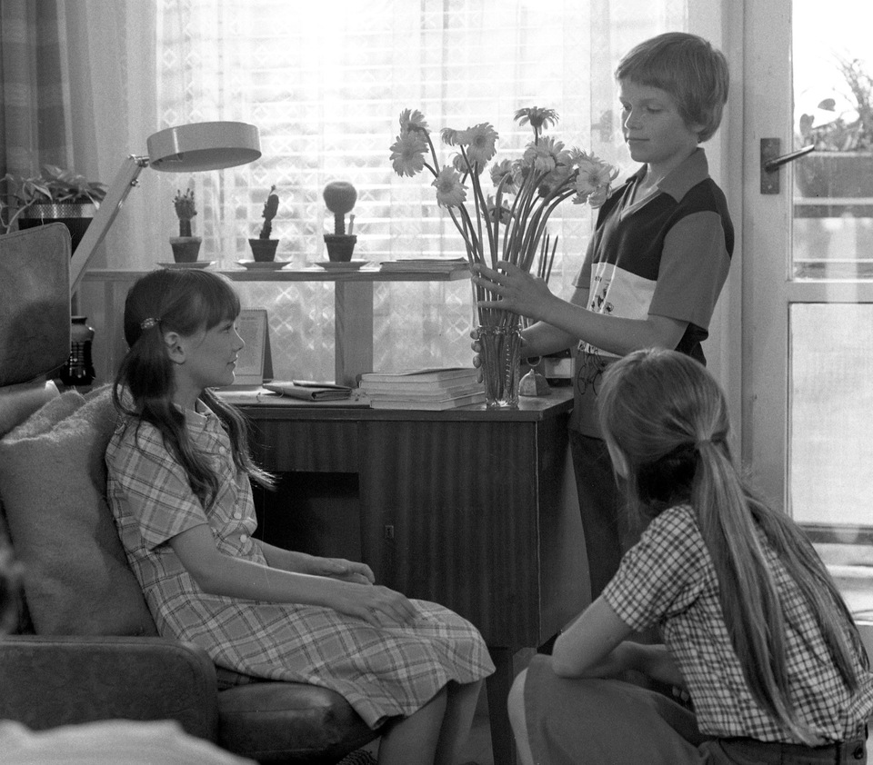 Nejlepší slovenské rodinné filmy z roku 1981 online