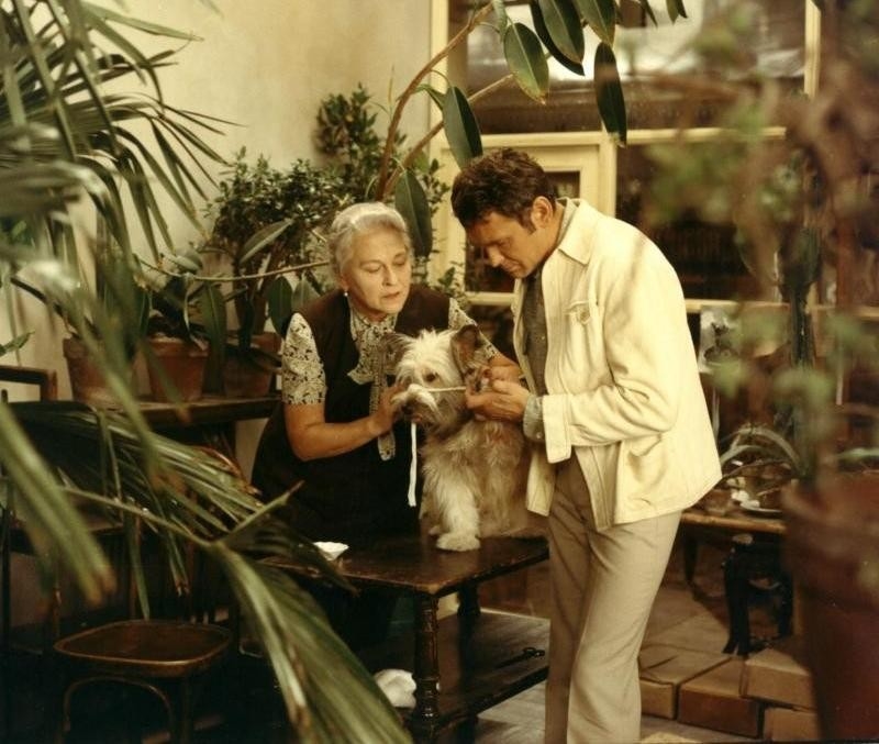 Film Akce Bororo